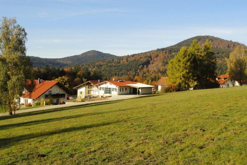119304 - foto 3