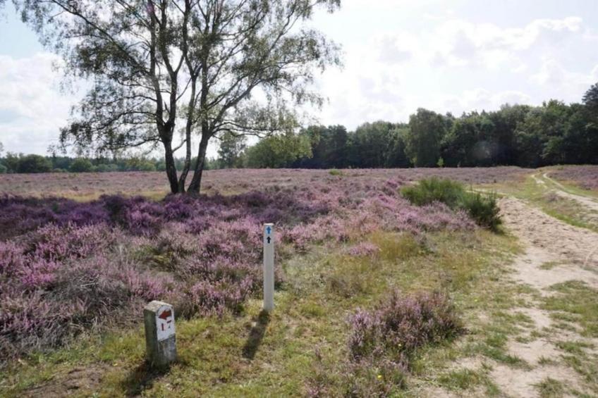 Hof van Salland - foto 33