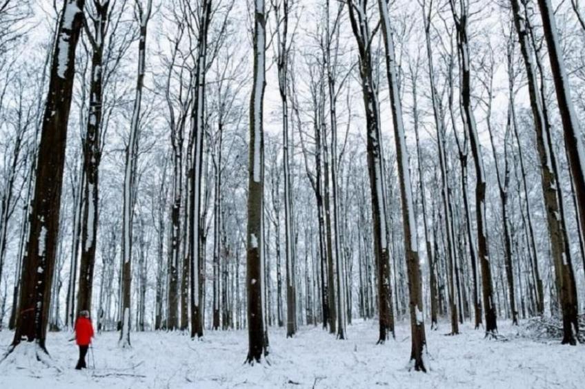 Stadt Apartement - foto 39