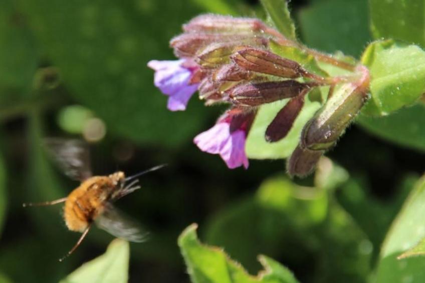 Appartement mit Terrasse - foto 12