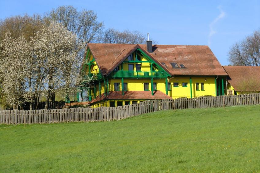 5359 - foto 3