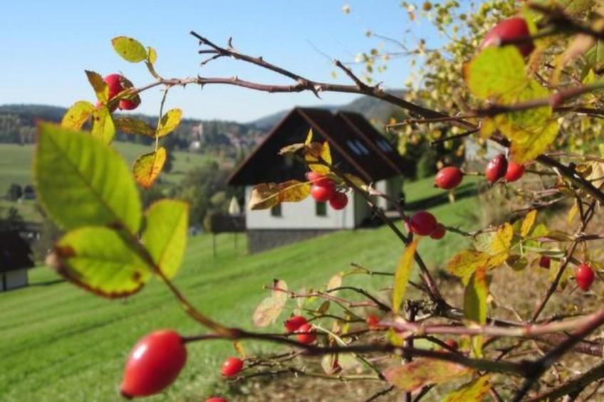 in  Green Valley Park 4 - foto 2