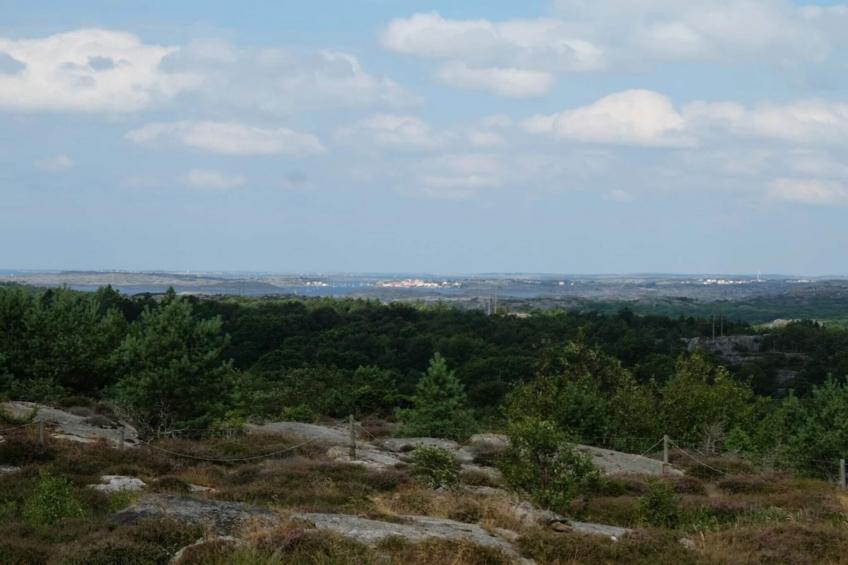 BF-NG9M8 - foto 14