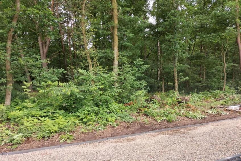 Het Vuchterhof - foto 36