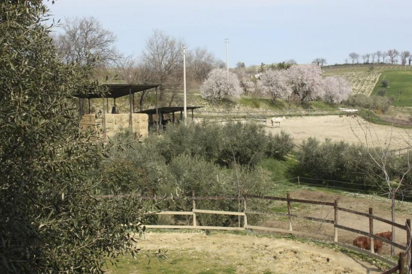 in der Gegend zwischen Meer und Berghang - foto 36