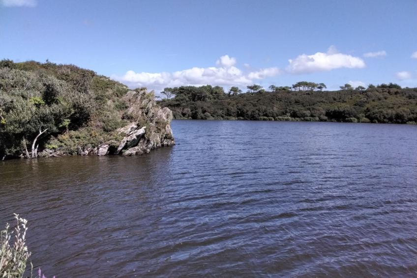 Bretonisches Ferienhaus in Meeresnähe mit Garten - foto 39