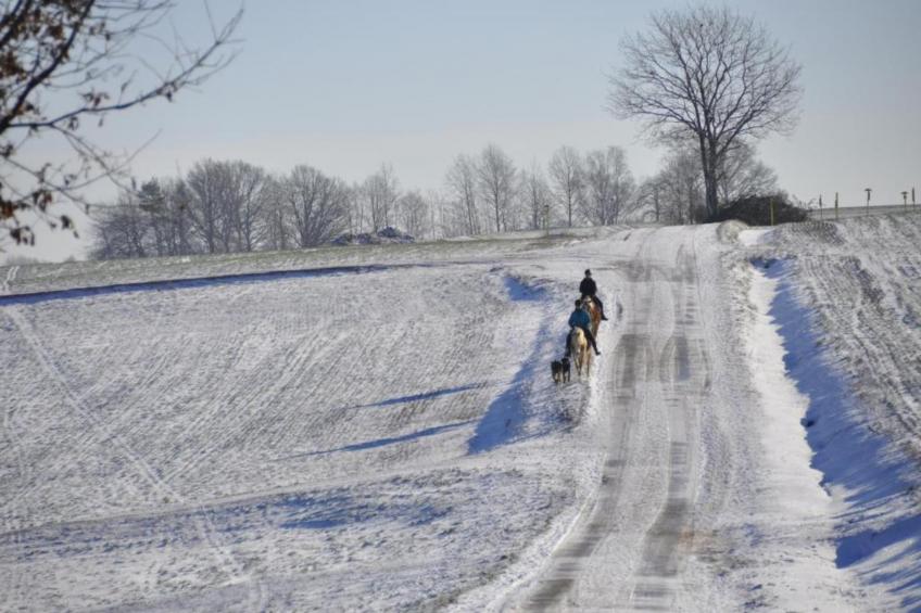 Im Erzgebirge - foto 34