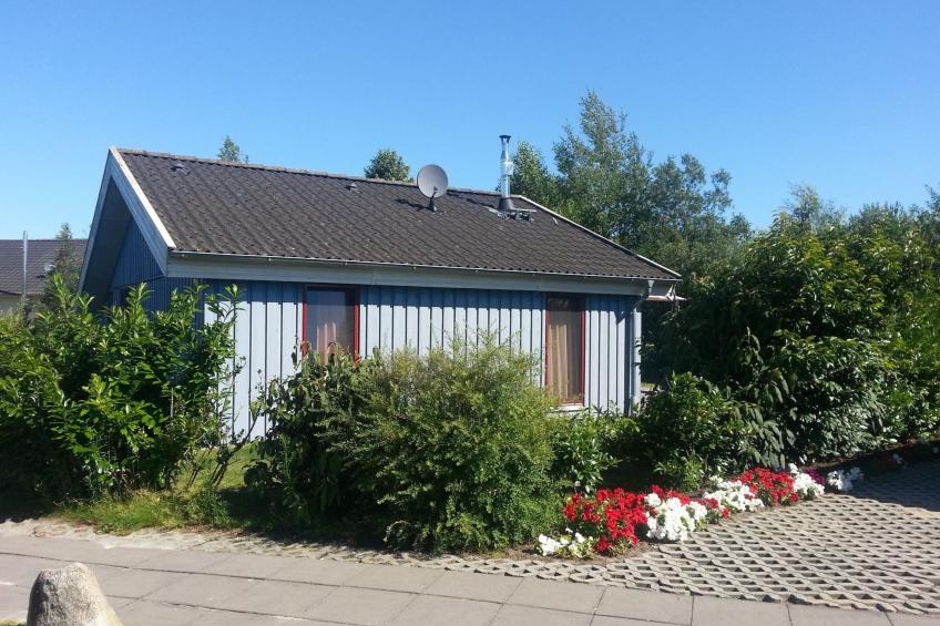 Pinto Béla - foto 2