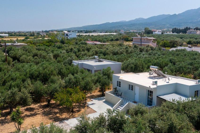 in einem Olivenhain in Strandnähe - foto 29