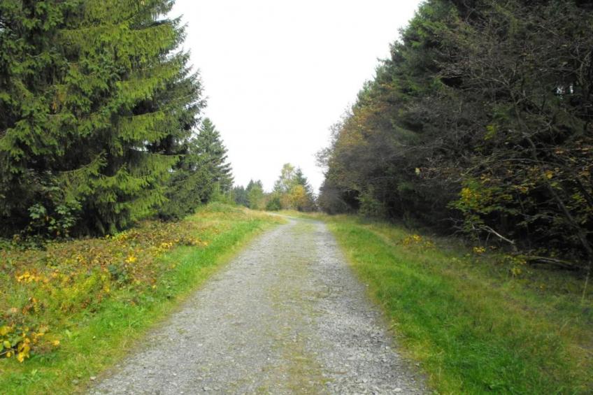 Spiegeltal - foto 18