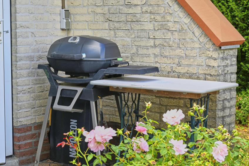 Rose Garden - foto 98