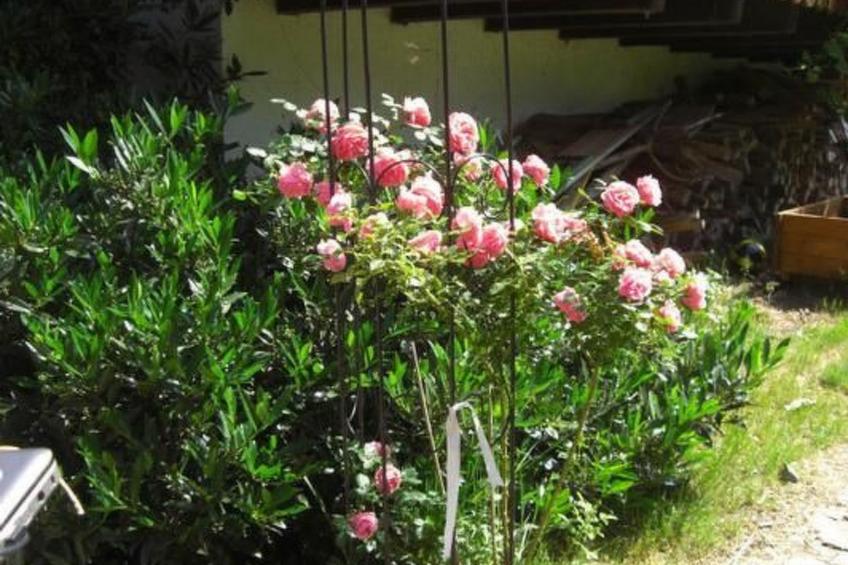 Wohnung "Himmelreich" - foto 12