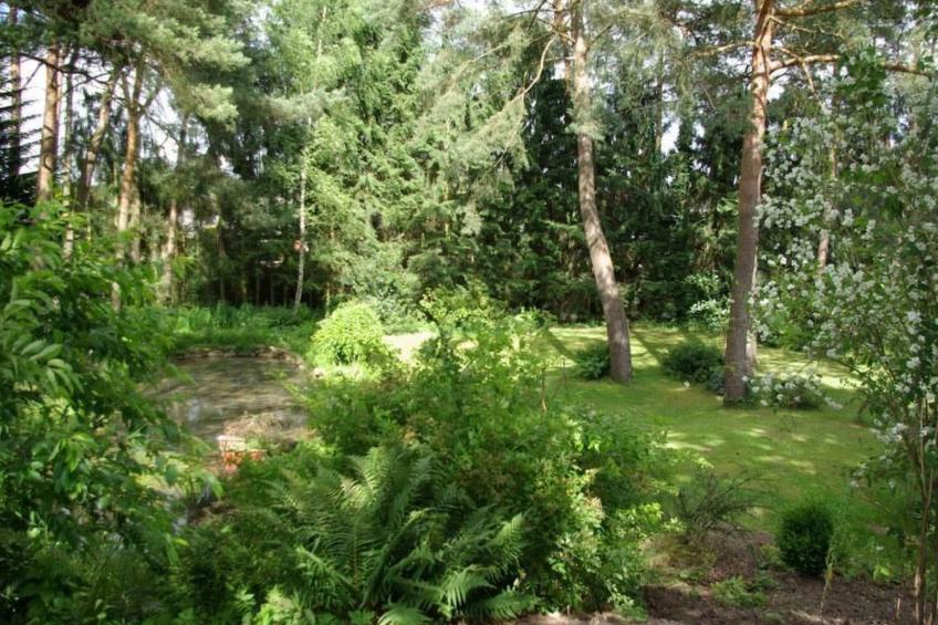 Große Ferienwohnung in Bleckede mit Großem Balkon - foto 28