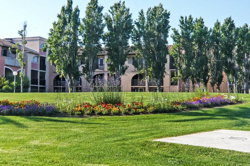 Les Coraux - foto 19