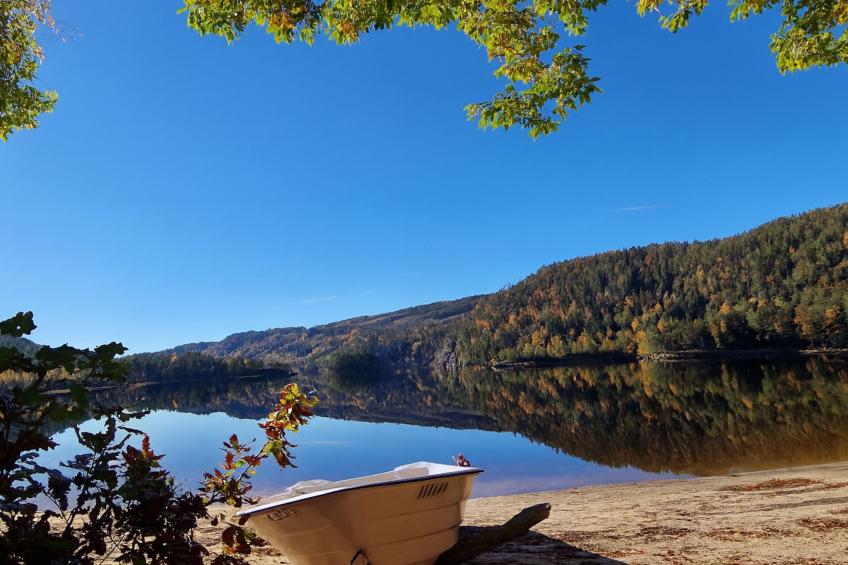 Midtholmen (SOW726) - foto 5