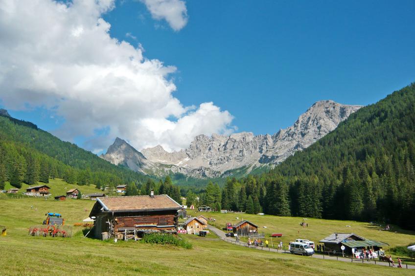Edelweiss - foto 42