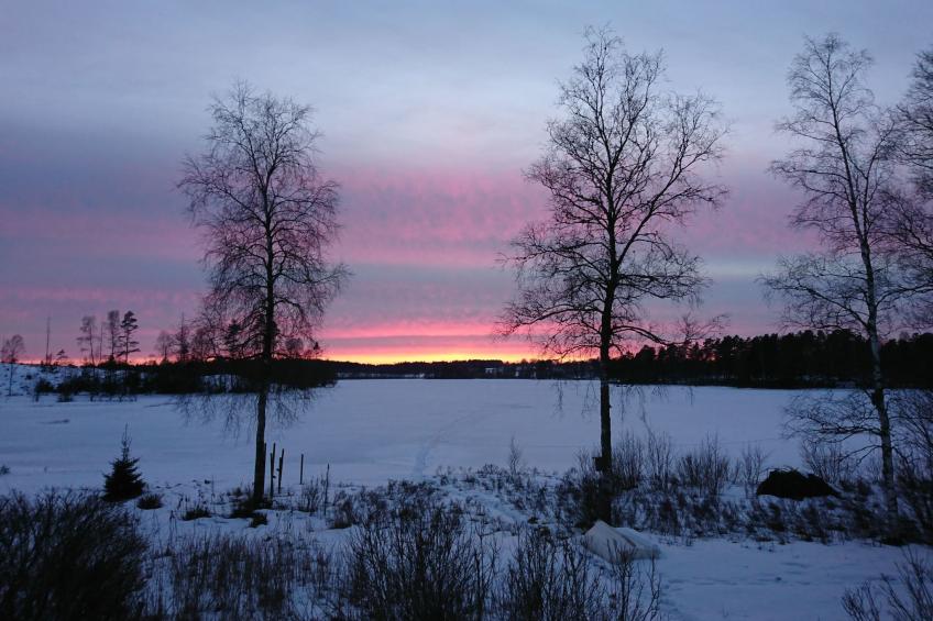 Saxarsviken - foto 44