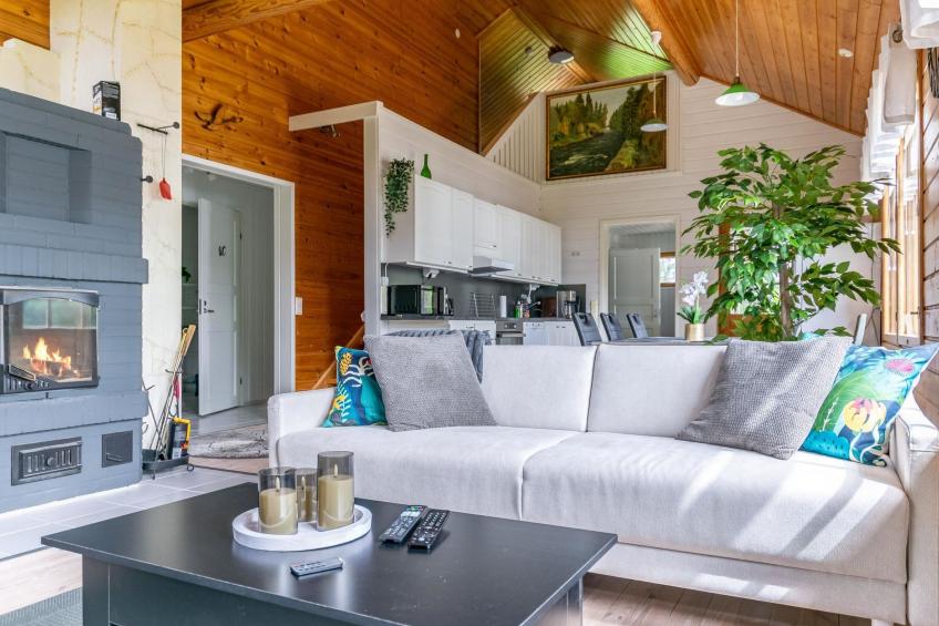 Hanhenpesä - foto 10