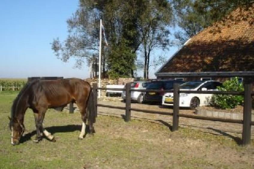 Gemütlicher Ferienhof Loosternest in Vriescheloo - foto 15