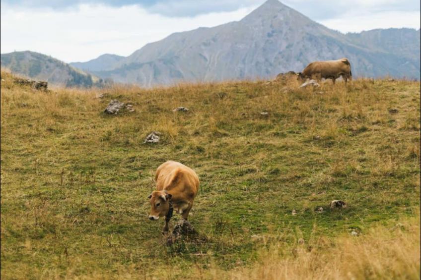 Residence La Corniche - foto 24