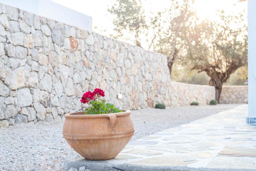 Kalathos Dream - Weißer Traum - foto 19