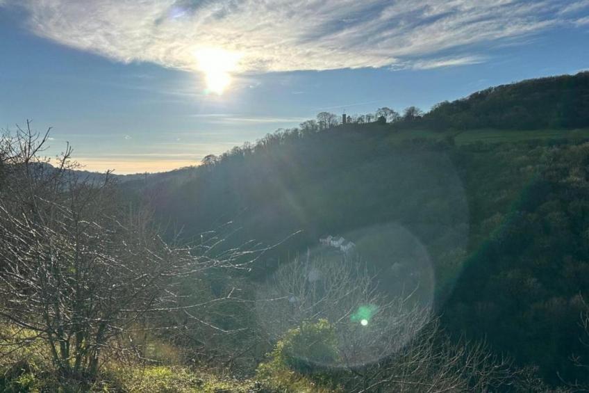 Shaky's Penthouse - foto 25