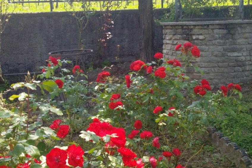 Haus "Badinot" mit privatem Garten und Grill - foto 17