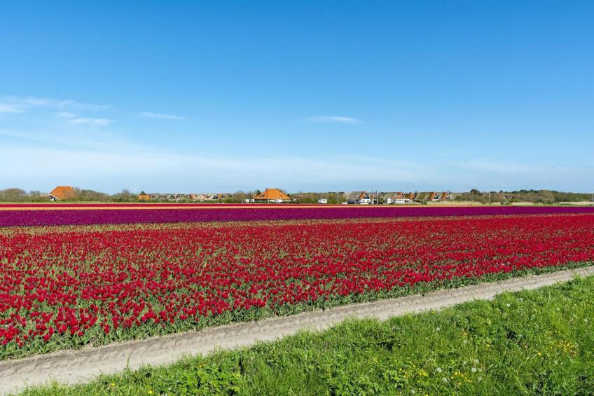 De Buitenplaats 7 - foto 76
