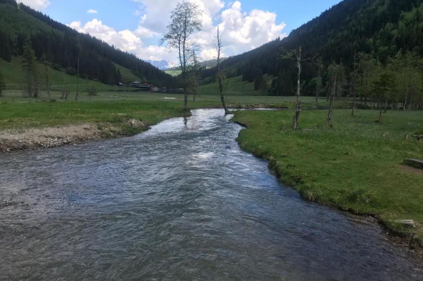 Bergchalet - foto 41