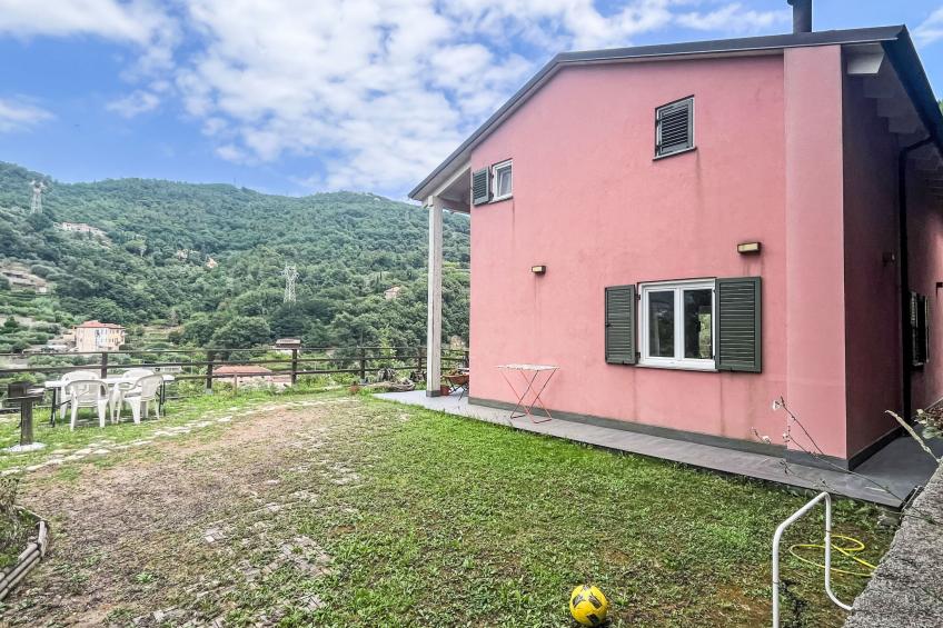 Le radici dell´ulivo - foto 22