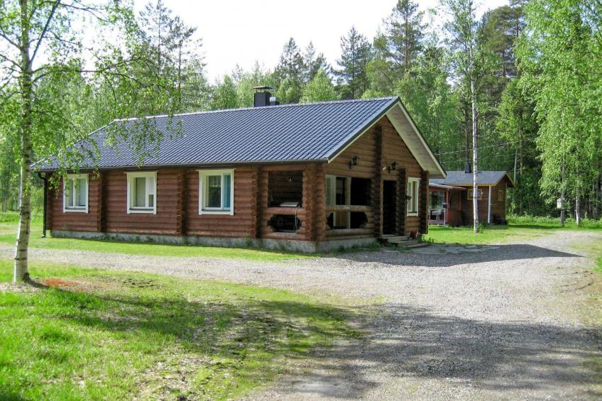 Koli, metsälä - foto 26