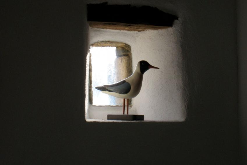 La Retenue de Lizandré - foto 16