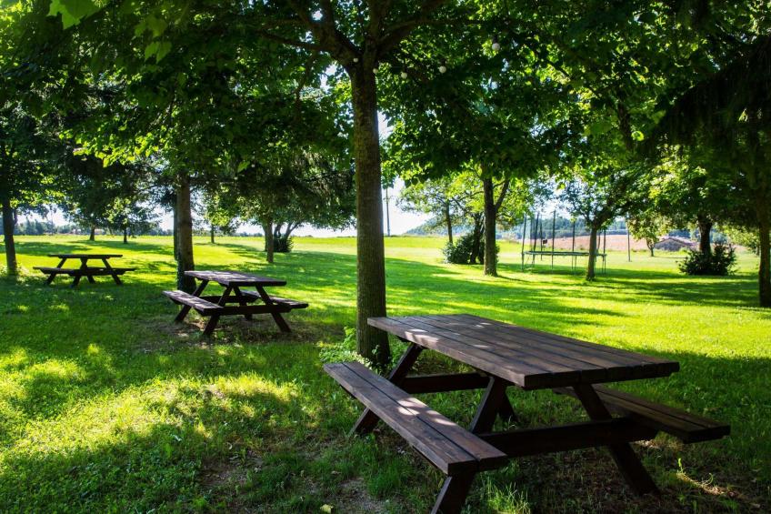 Wohnung "El Corral" mit Terrasse - foto 11