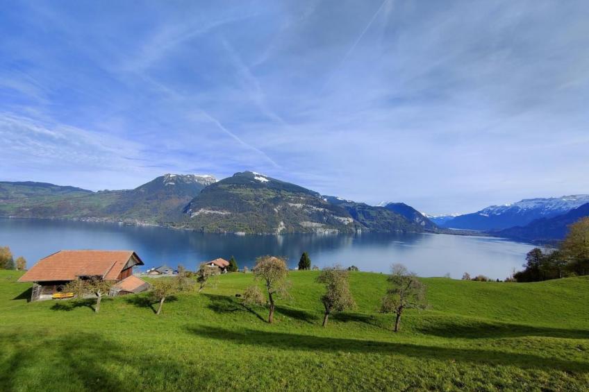 Traumblick Krattigen - foto 9