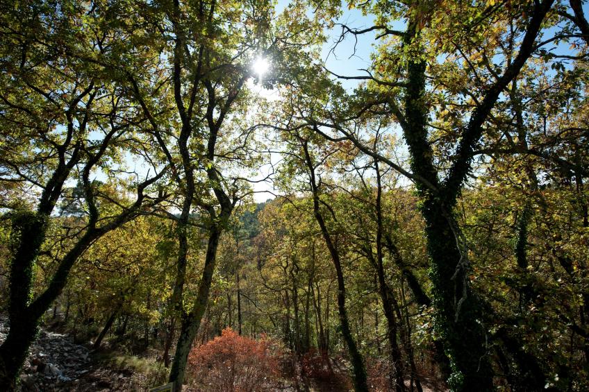 Mas du Puits - foto 30