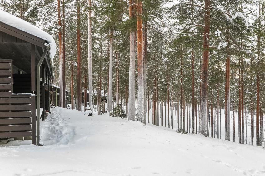 Rokua vaulutupa - foto 17