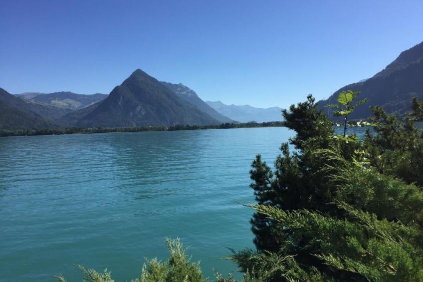 Haus am See - foto 11