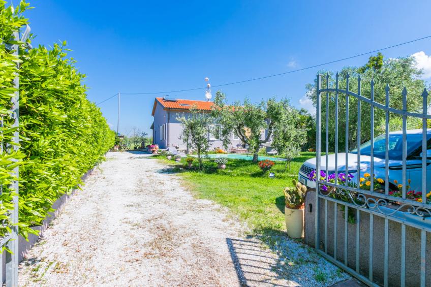 Garden - foto 43