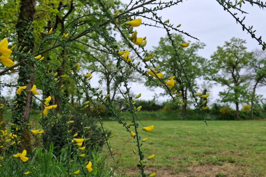 Cottage "Cottage Confort 1 ch" im Feriendorf - foto 10