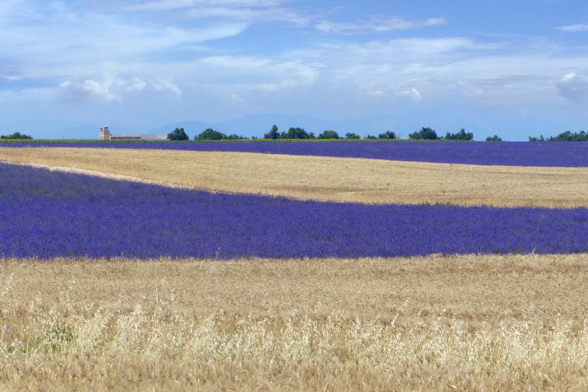 Wohnung mit Seeblick - foto 25