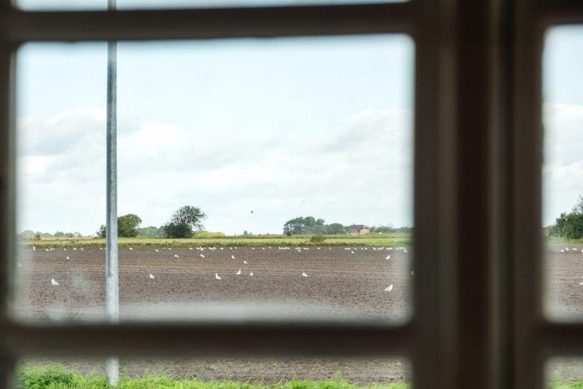 "Haralde" in Western Jutland - foto 16