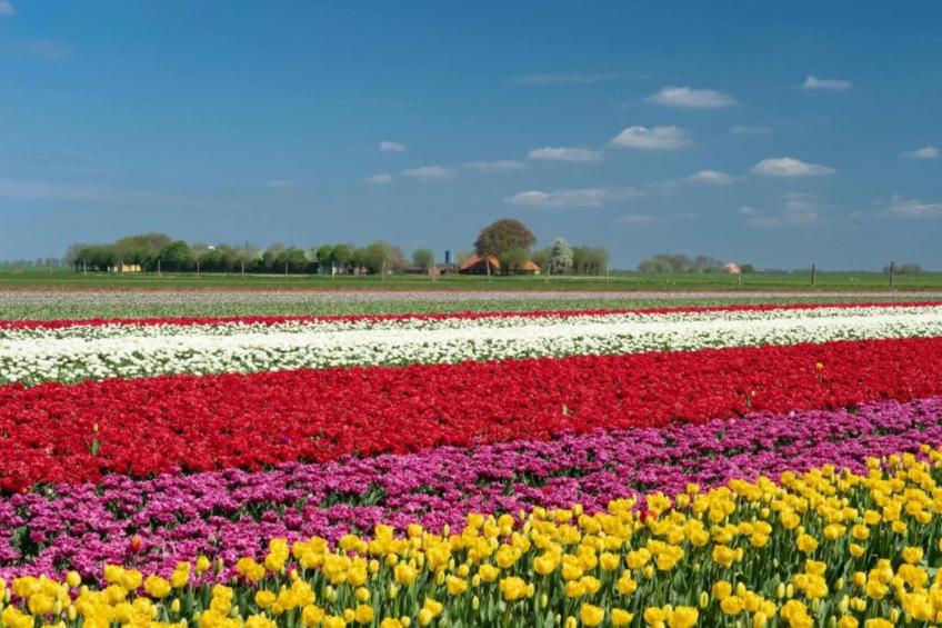 Vakantiepark Eigen Wijze 6 - foto 32