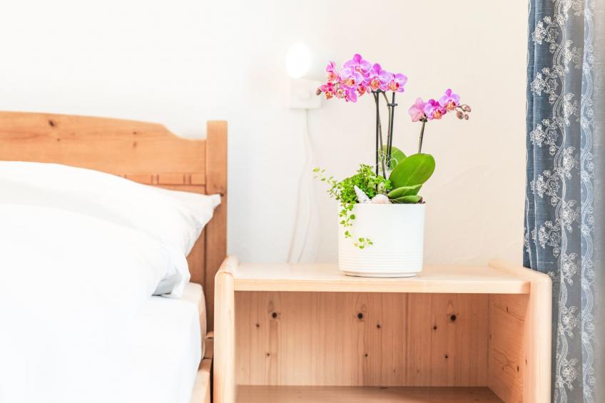 Chesa Michel Roseg - foto 28