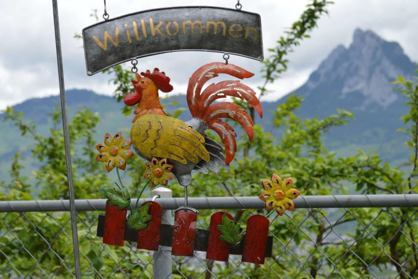 Stockli - Brunnen, (Brunnen). - foto 12