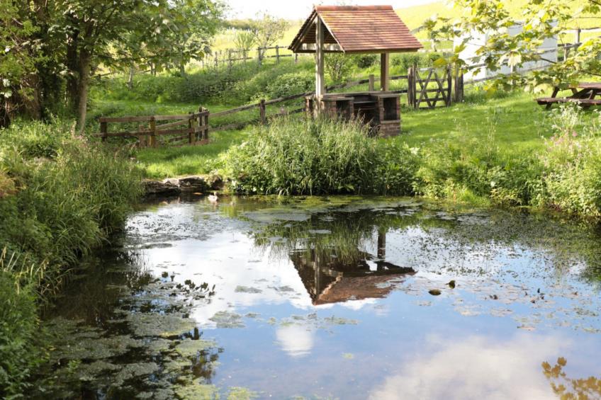 Cherry at Buckland Court - foto 4