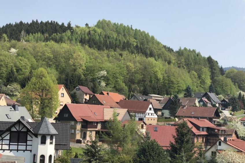 185607 - foto 12