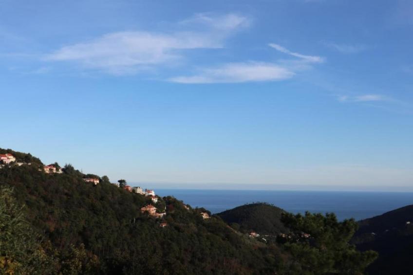 Nidino del Gufo - foto 30