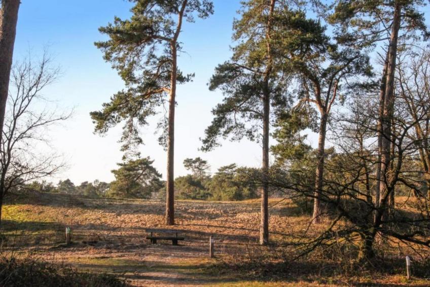 Vakantiepark Leukermeer 7 - foto 34