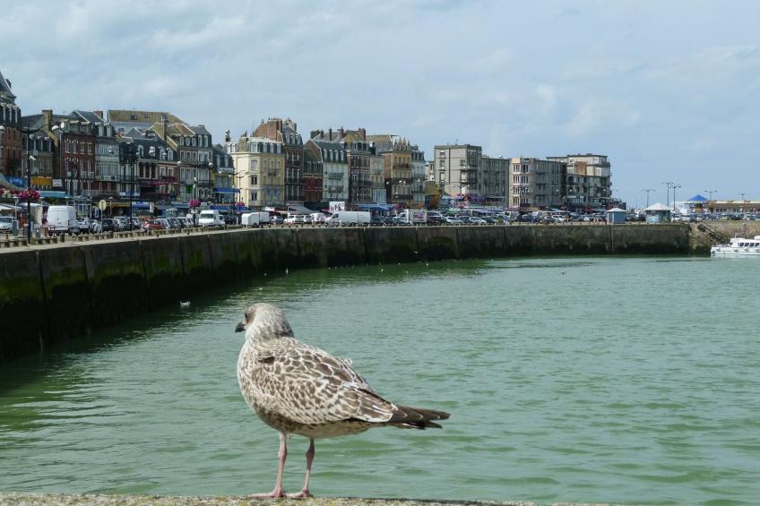 Semi-detached house Rieux - 8 pers - foto 20