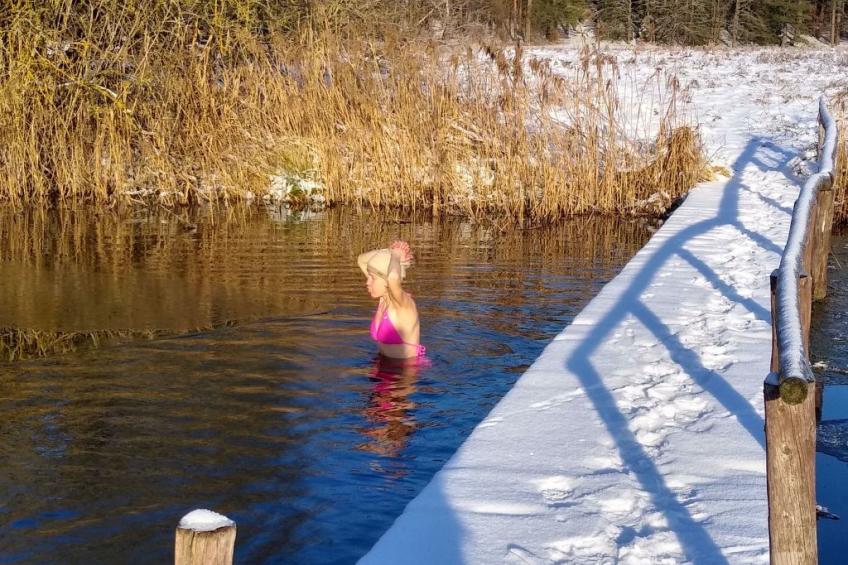 Vogelecke - abseits des Trubels und der Hektik - foto 23